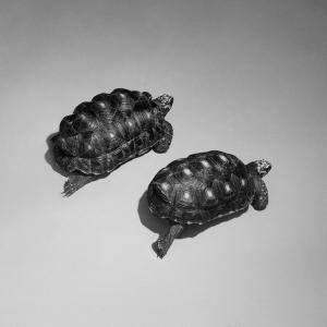 250130 SCHORR SAMSMITH Shot 07 084 04