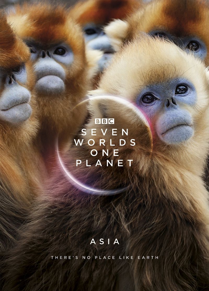 Seven Worlds One Planet Live In Concert